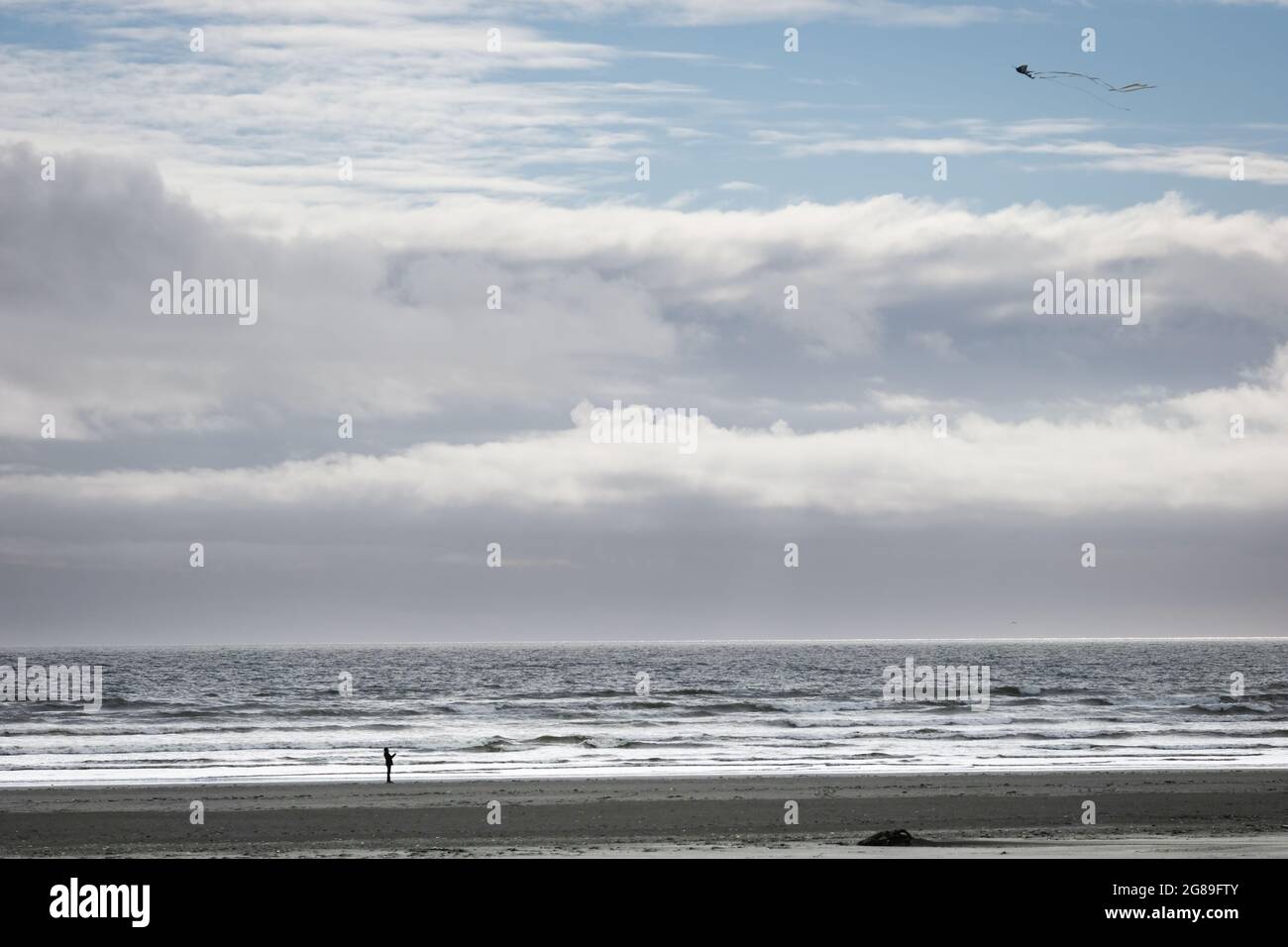 Passeggiate lungo la spiaggia, Pacific Beach state Park, Olympic Peninsula, Washington state, USA, Pacific Northwest. Foto Stock