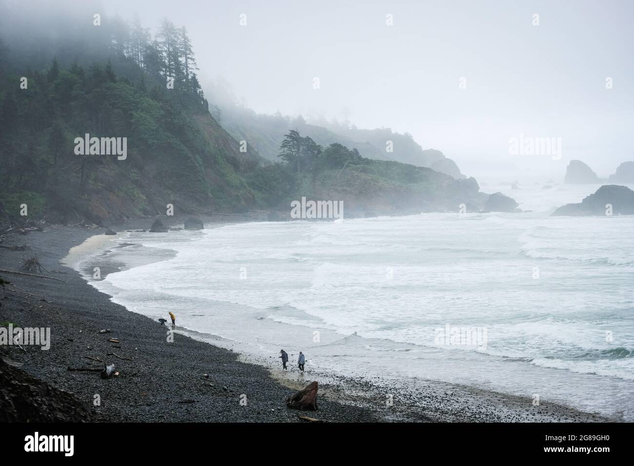 Sulla spiaggia vicino all'Oceano Pacifico, Cape Disappointment state Park, Washington state, USA. Foto Stock