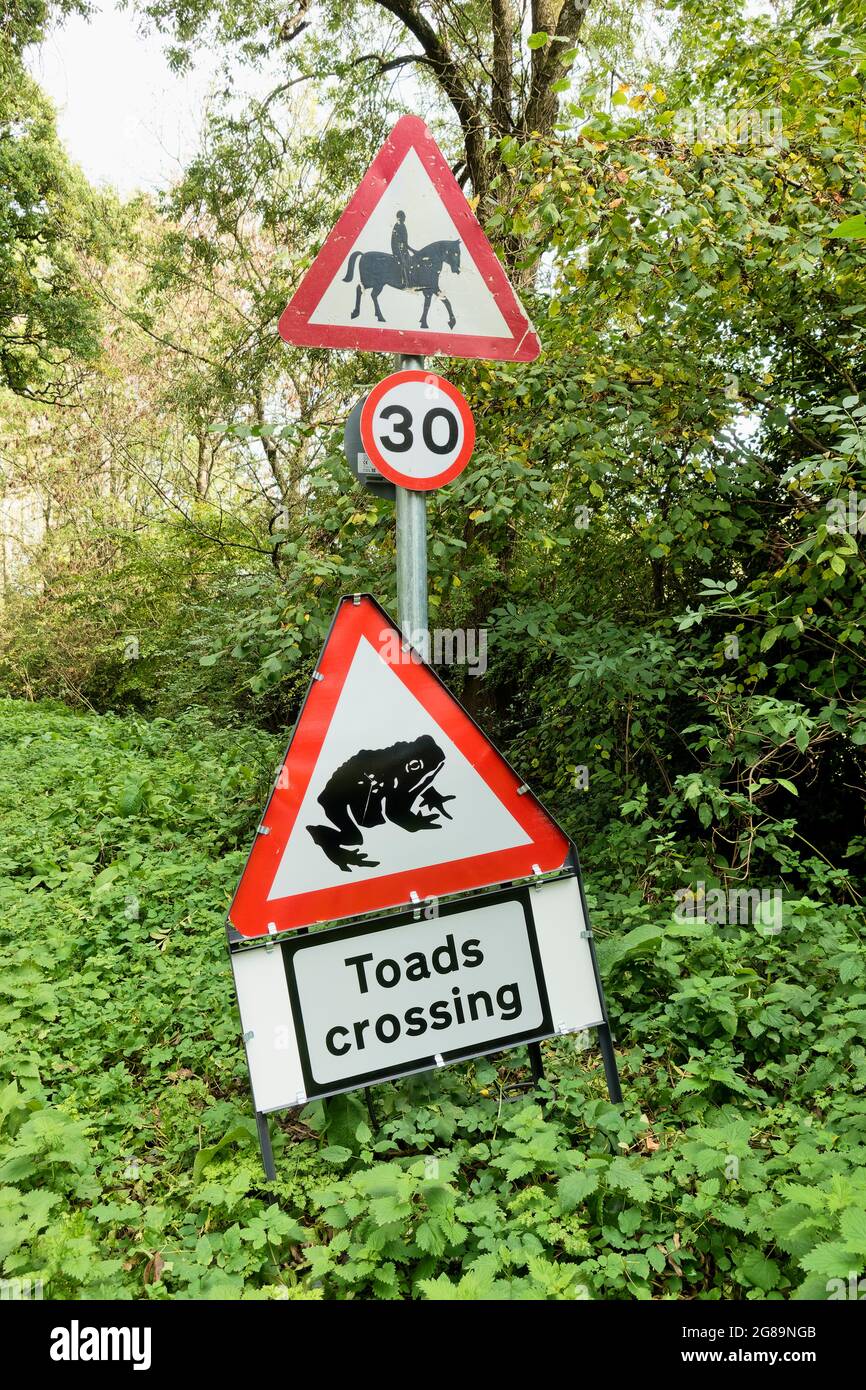 Warminster, Wiltshire, UK - Ottobre 13 2020: Un cartello di passaggio dei Toads per gli automobilisti a Smallbrook Road, Warminster, Wiltshire, Inghilterra, UK Foto Stock