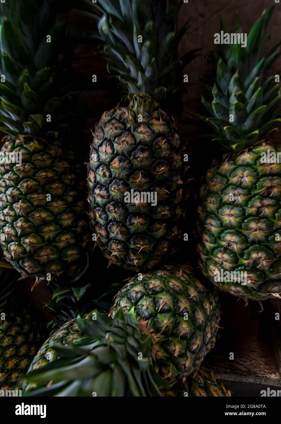Ananas fresco per la vendita Foto Stock