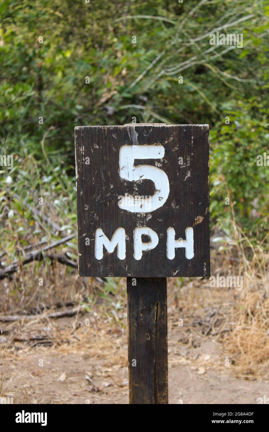 Un'immagine verticale di un segno nella foresta con il testo '5 MPH' Foto Stock