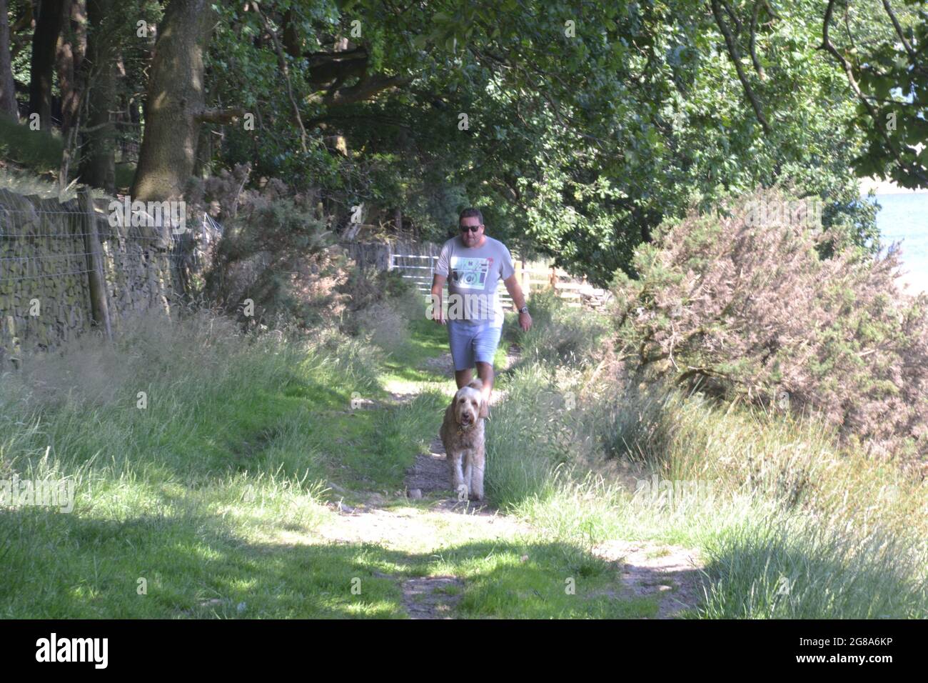 Un uomo e il suo cane godono del sole sotto il cielo blu vicino Langho, Lancashire, Regno Unito, come la mini ondata di calore continua nel luglio 2021. La temperatura sta colpendo 30C in alcune parti del Regno Unito. Il 15 luglio 2021 la sanità pubblica Inghilterra (PHE) ha emesso un allarme di salute termica. Foto Stock