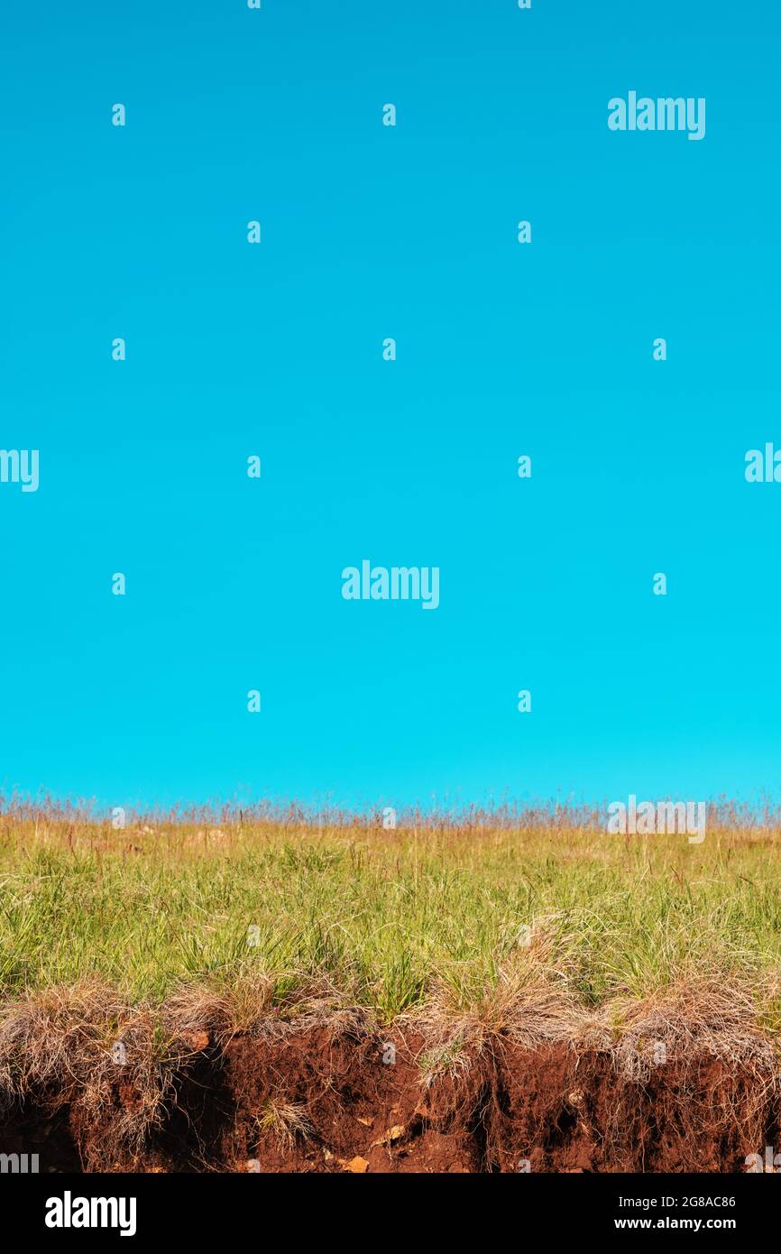 Composizione minima del paesaggio, regione di Zlatibor in Serbia con cielo come spazio di copia Foto Stock