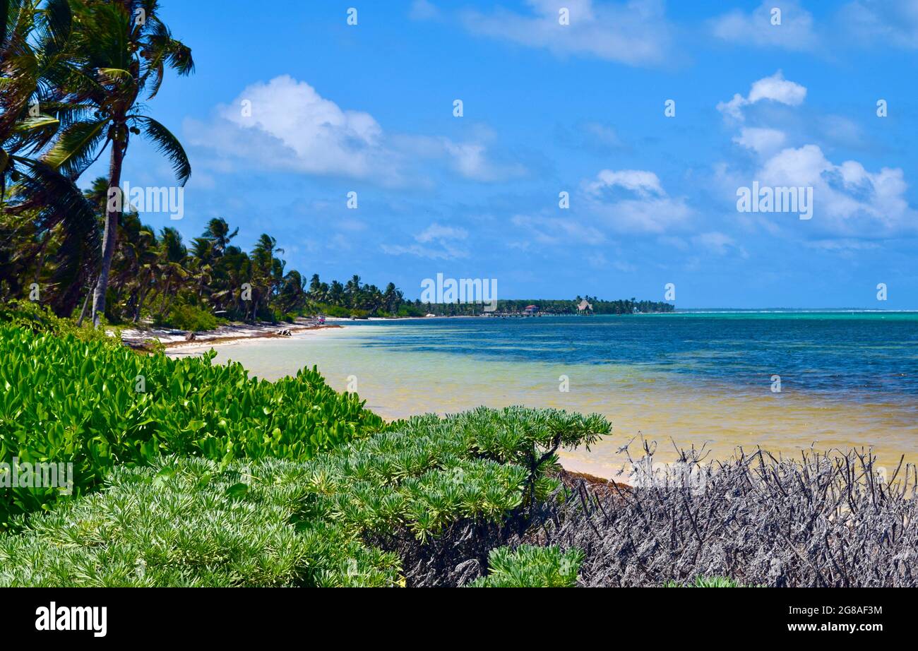 La costa nord-est di Ambergris Caye, Belize Foto Stock
