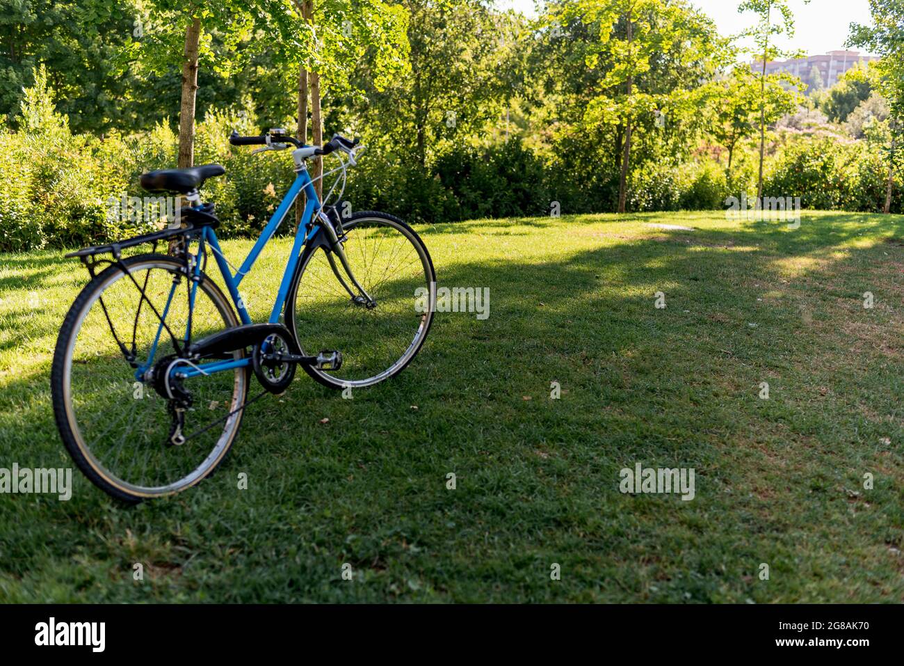 Bicicletta nel parco. Nessuna gente Foto Stock