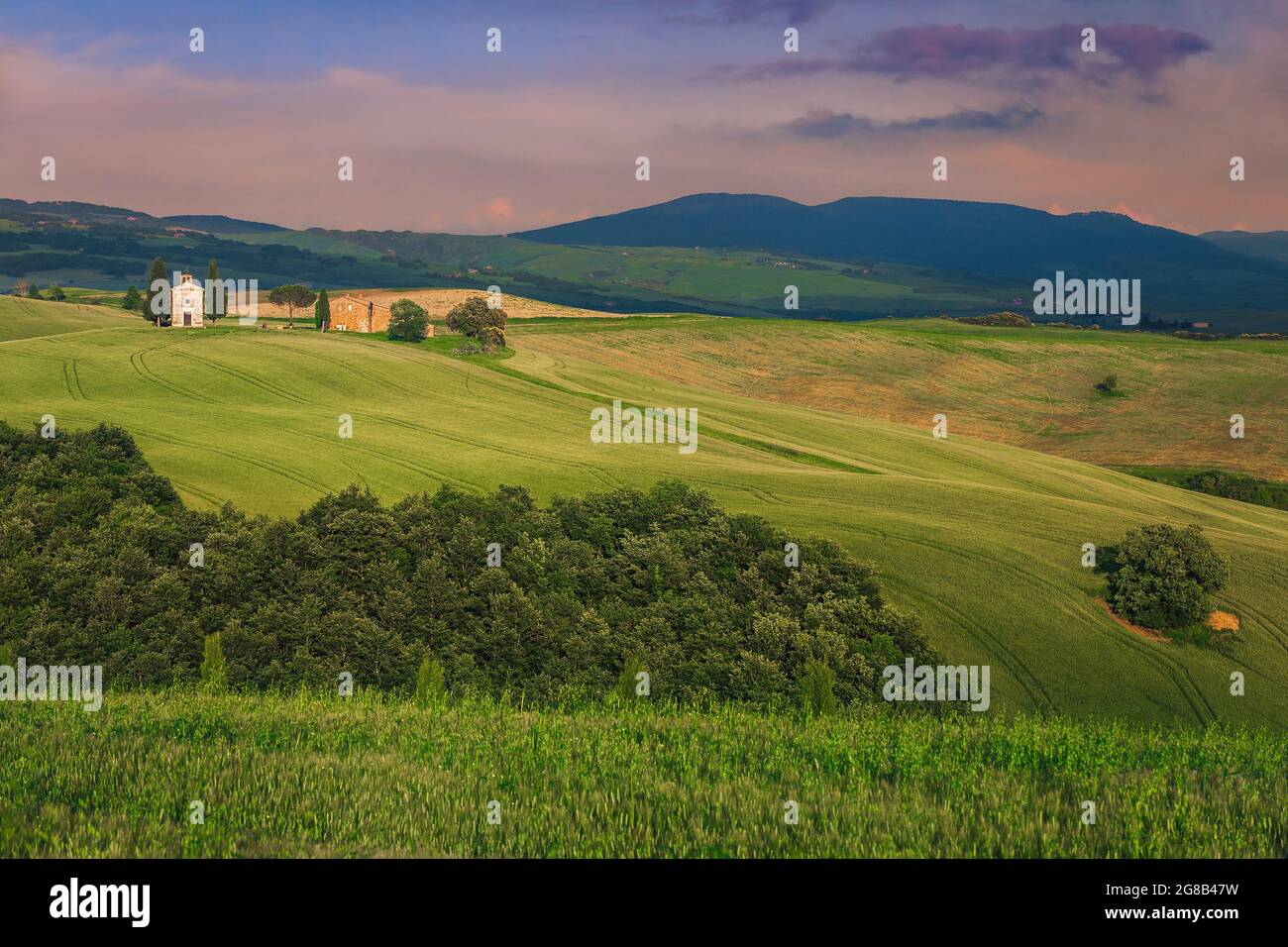 Maestoso paesaggio rurale toscano al tramonto con campi di grano sul pendio e la cappella Vitaleta, Toscana, Italia, Europa Foto Stock