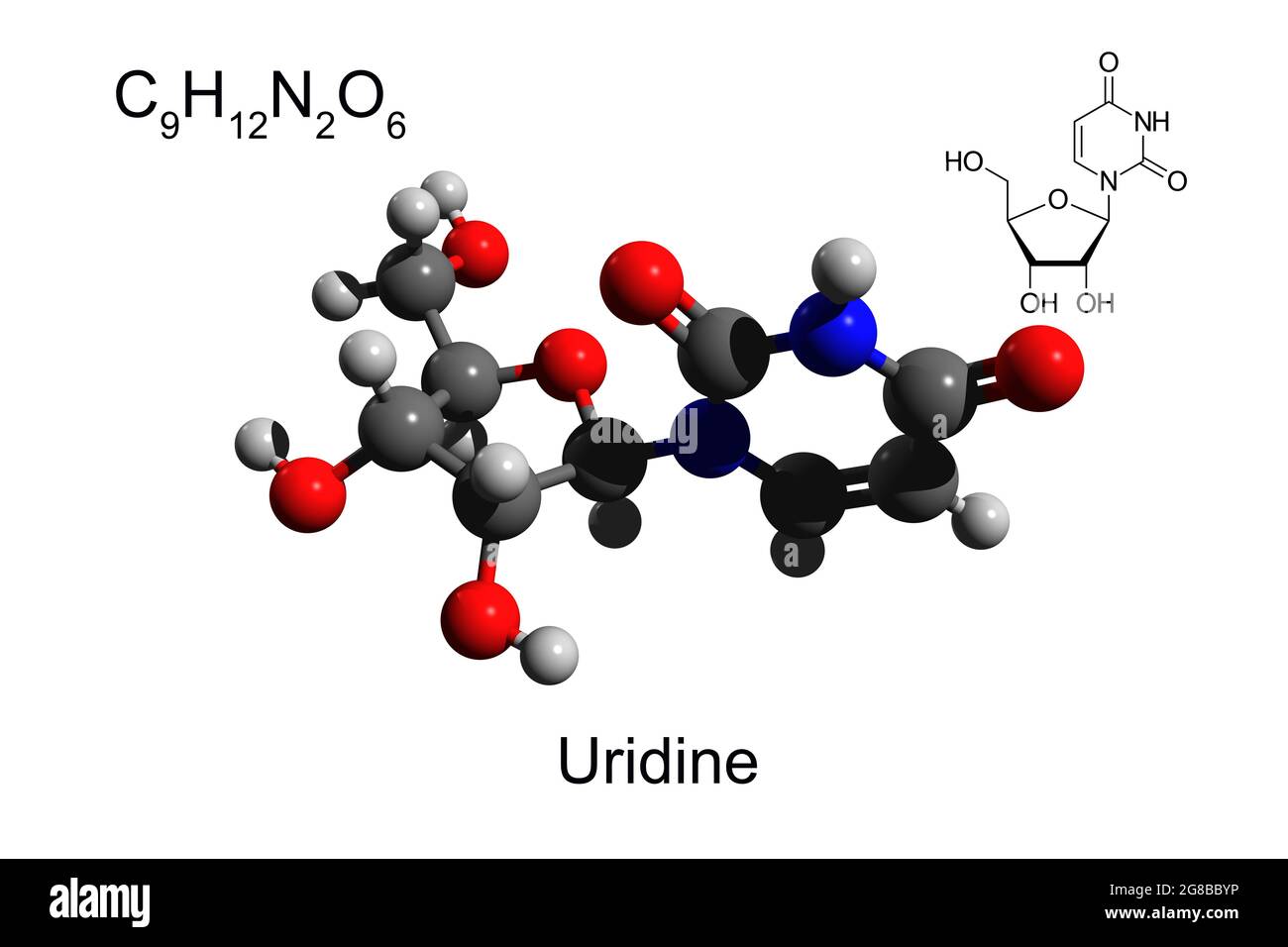 Formula chimica, formula scheletrica e modello 3D a sfera e bastone di uridina nucleosidica, fondo bianco Foto Stock