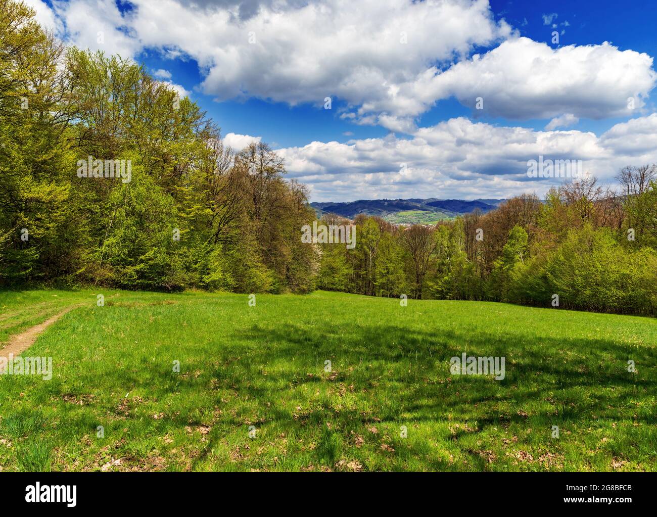 Prato primaverile con alberi intorno, sentiero escursionistico stretto e cielo blu con le nuvole in Bile Karpaty montagne sopra Brumov-Bylnice in Repubblica Ceca Foto Stock