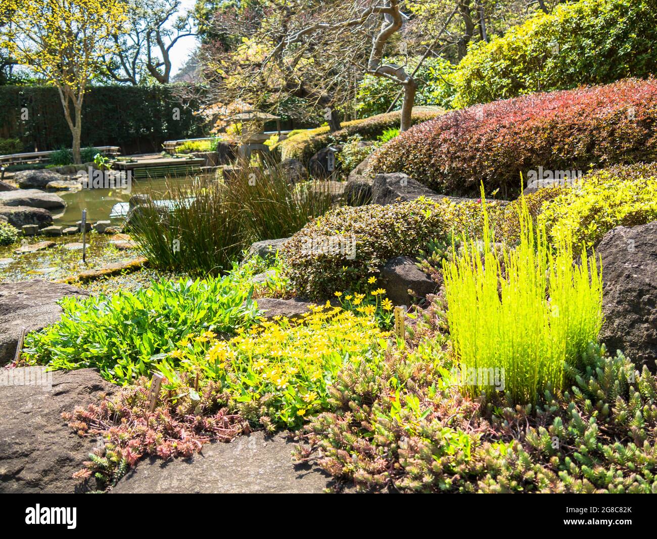 Tempio di Hase a Kamakura, Giappone Foto Stock
