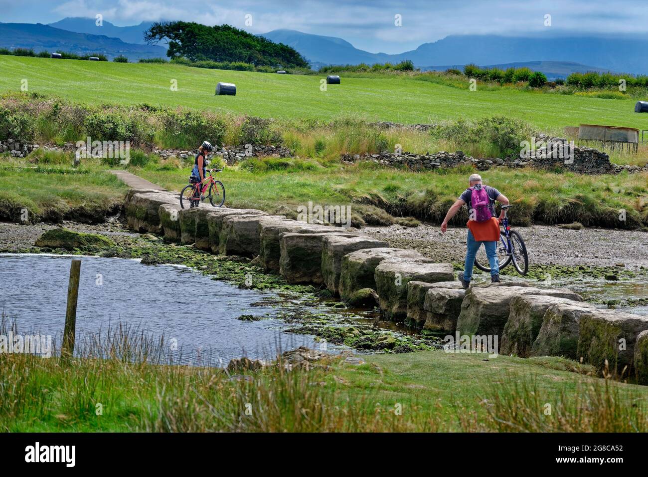 Le pietre rhuddgaer a passo o le pietre del gigante fanno parte del percorso costiero Anglesey vicino Newborough su Anglesey, Galles. Foto Stock