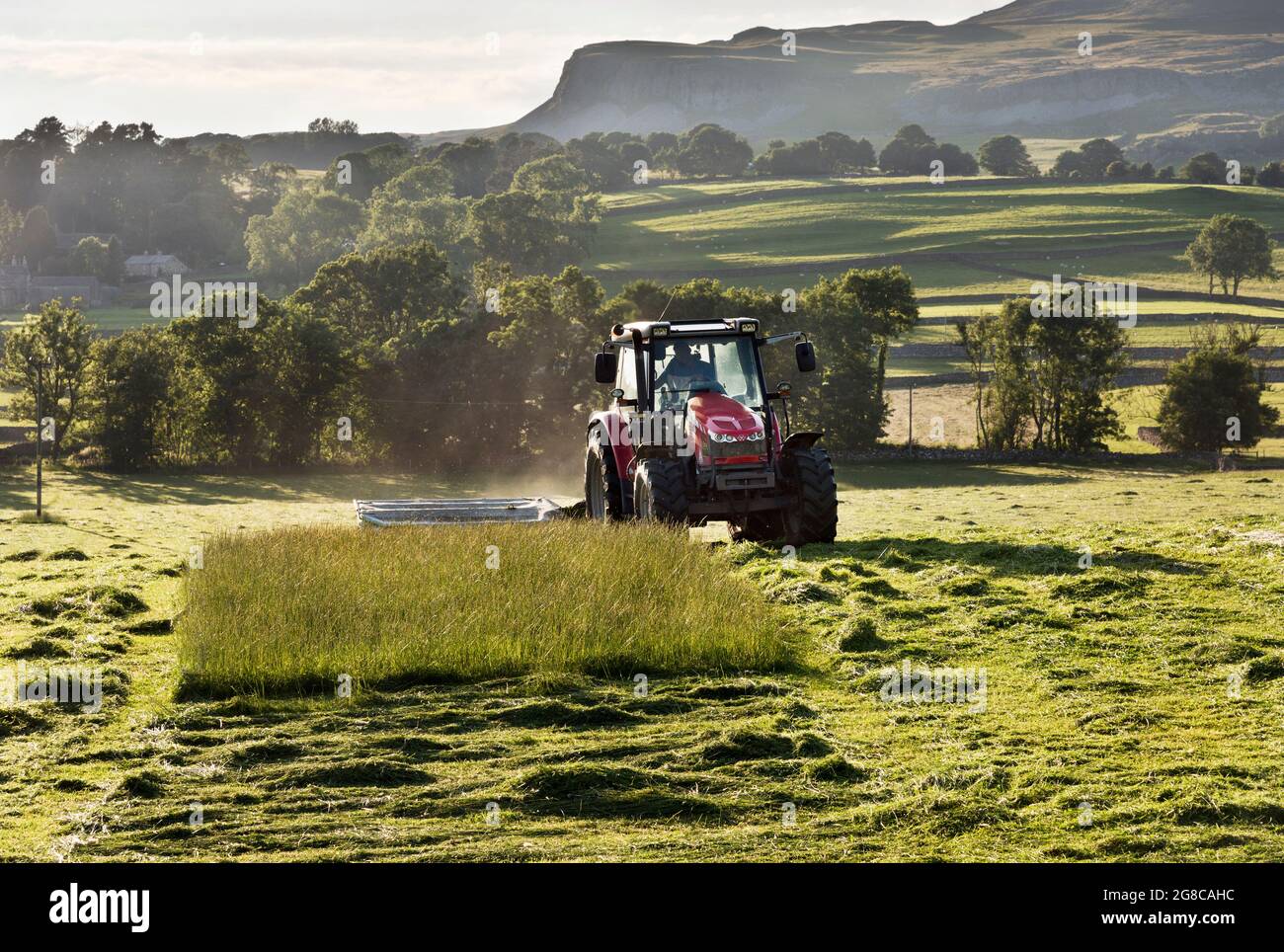 Haymaking, Austwick, North Yorkshire. Taglio dell'erba in un prato di fieno nel Parco Nazionale delle Dales dello Yorkshire. Foto Stock
