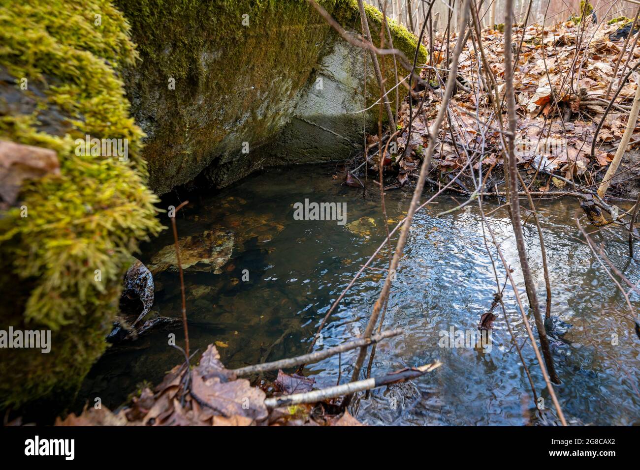 Un vecchio pozzo di calcestruzzo di un torrente di foresta. Inizio primavera. Foto Stock