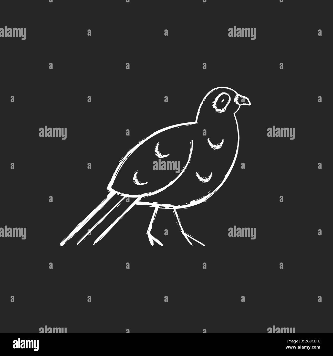 Icone bianche di gesso di uccello impostate su sfondo scuro. Illustrazione Vettoriale