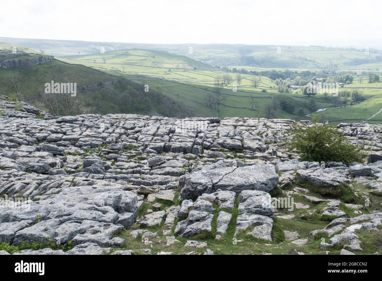 Pavimento in pietra calcarea Malham Cove Yorkshire Dales Foto Stock