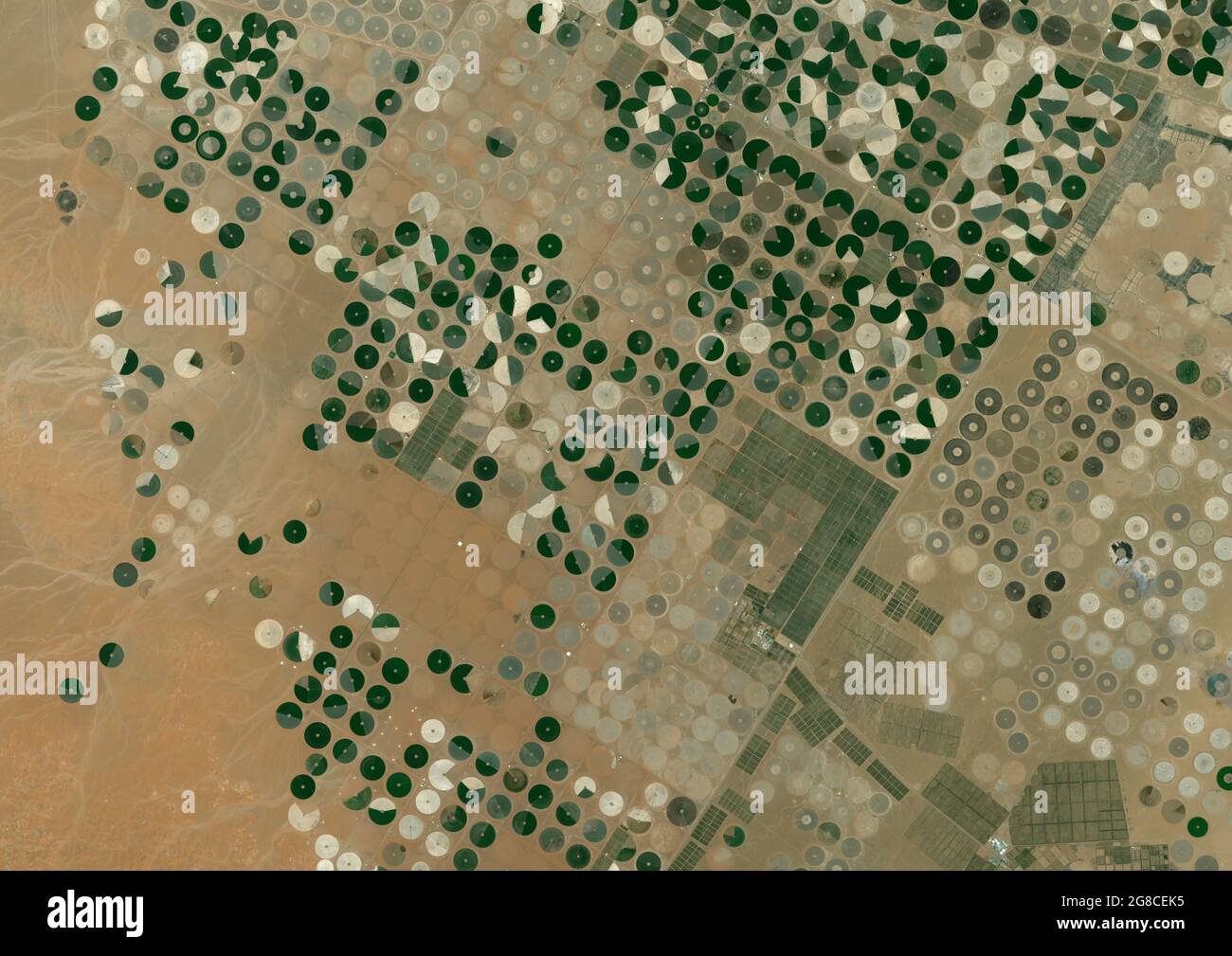 Cerchi di raccolto nel deserto, Arabia Saudita Foto Stock