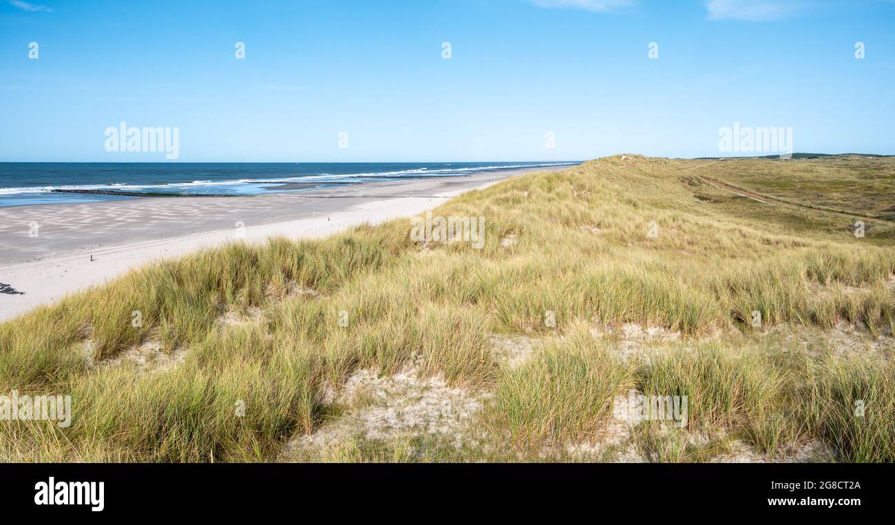 Dune, spiaggia e frangiflutti sulla costa del Mare del Nord dell'isola della Frisia Occidentale Vlieland, Frisia, Paesi Bassi Foto Stock