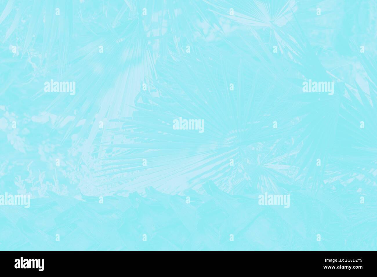 Acquarello acquamarina sfondo astratto con palma modello, delicato sfondo morbido Foto Stock