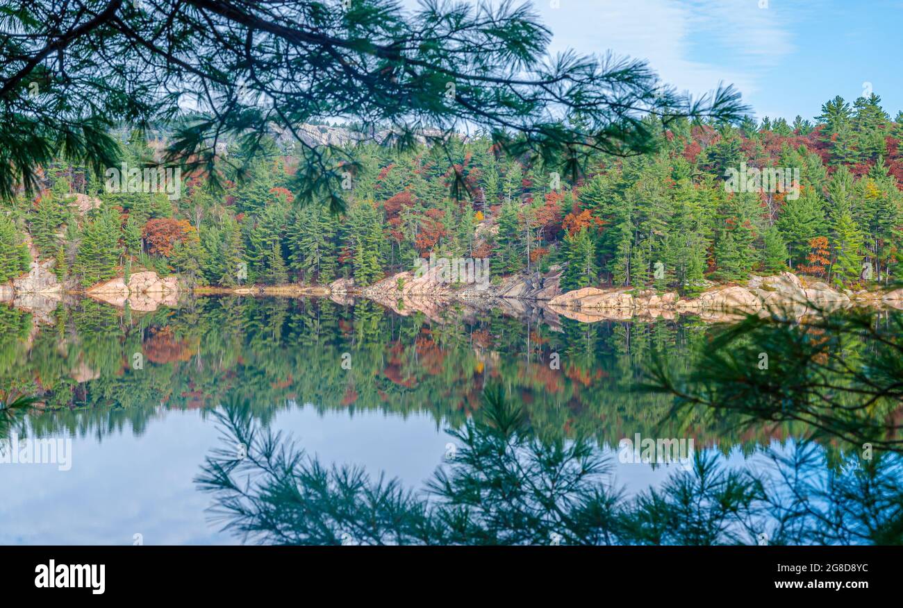 Lago di foresta in Killarney Park durante la stagione autunnale Foto Stock