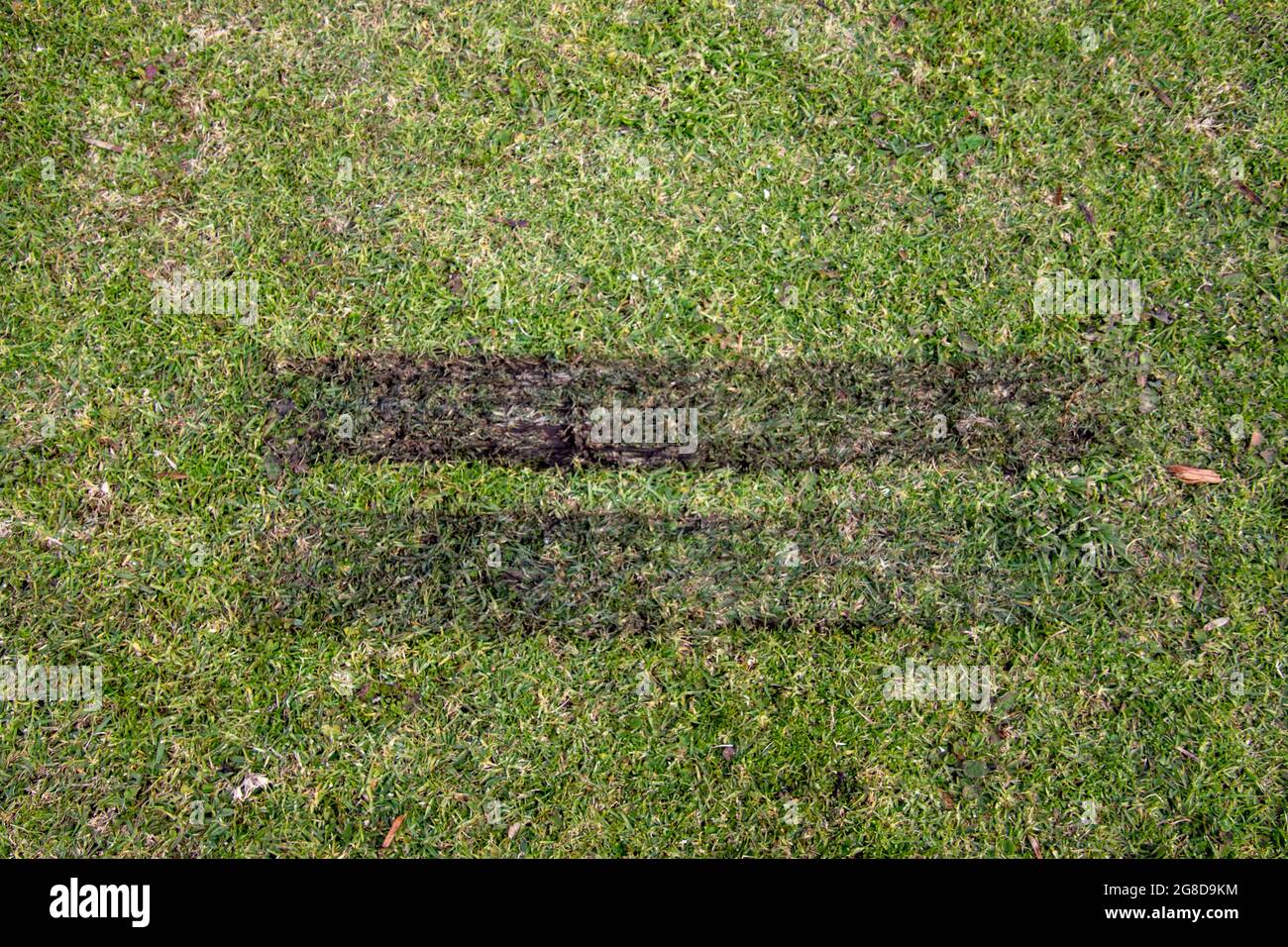 Due segni di slittamento degli pneumatici del veicolo su un pezzo di erba verde Foto Stock