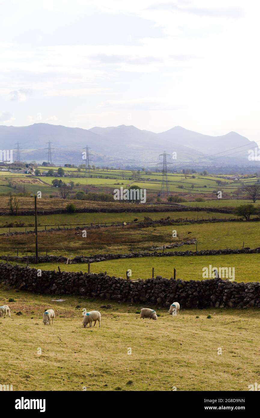 Penisola di Llyn, Galles. Paesaggio di montagna. Immagine verticale di campi e montagne. Spazio di copia. Foto Stock