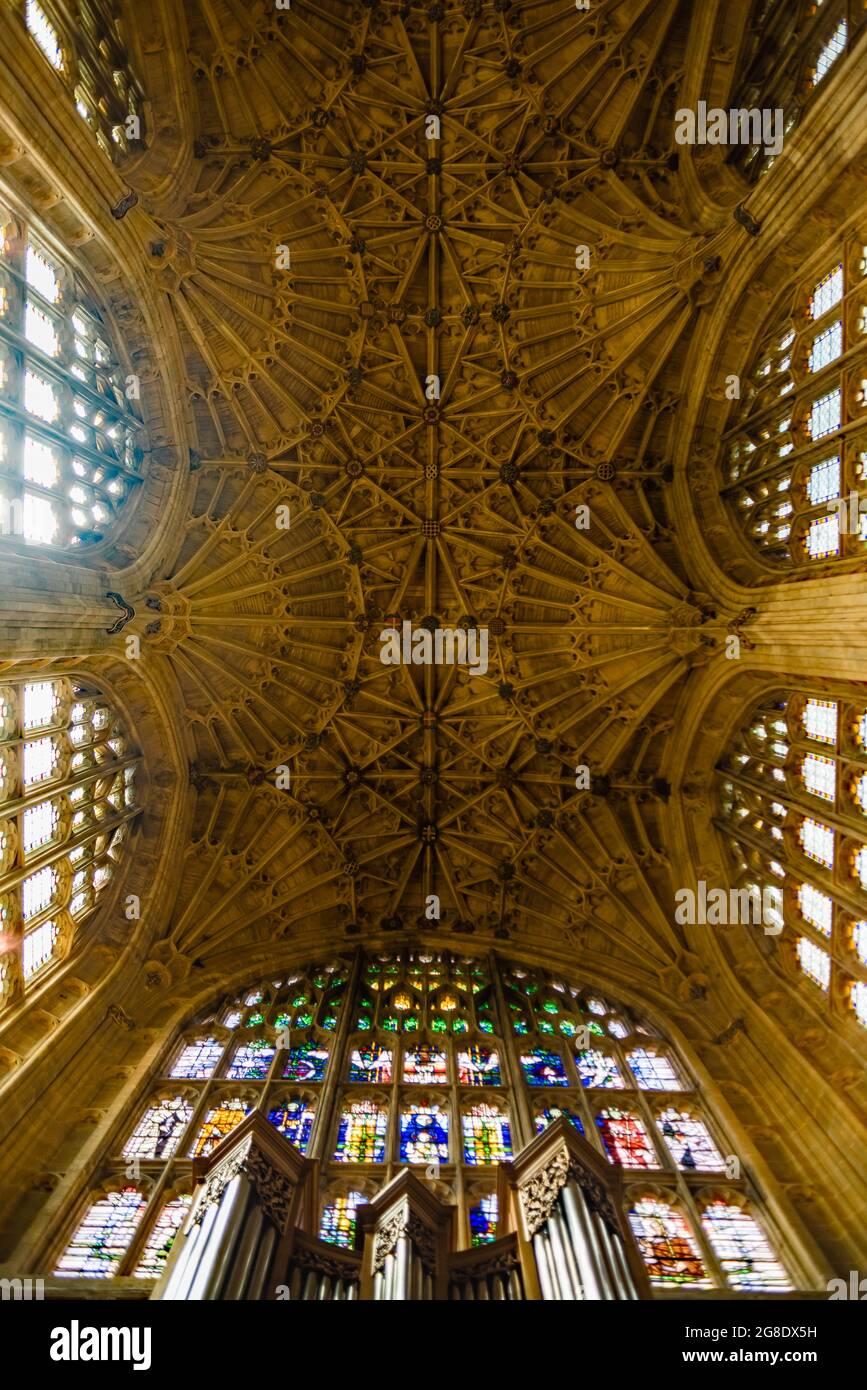 Il soffitto a Sherborne Abbey in Dorset.Ceiling Foto Stock