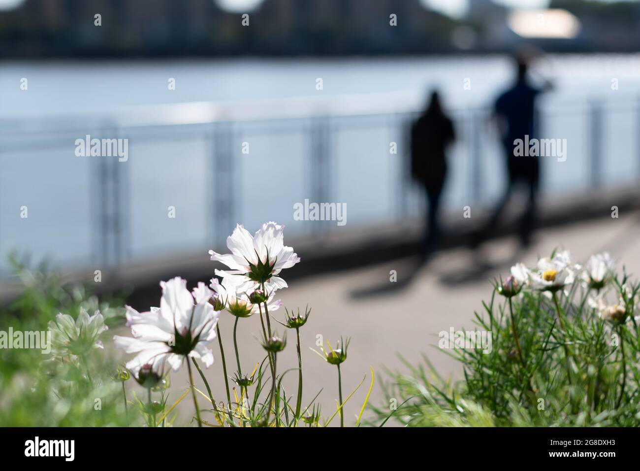 Sagoma offuscata di persone che si levano in piedi vicino al fiume. Concetto di aiuto anonimo, tossicodipendenza, problema di salute mentale, programma di riabilitazione della depressione, Foto Stock