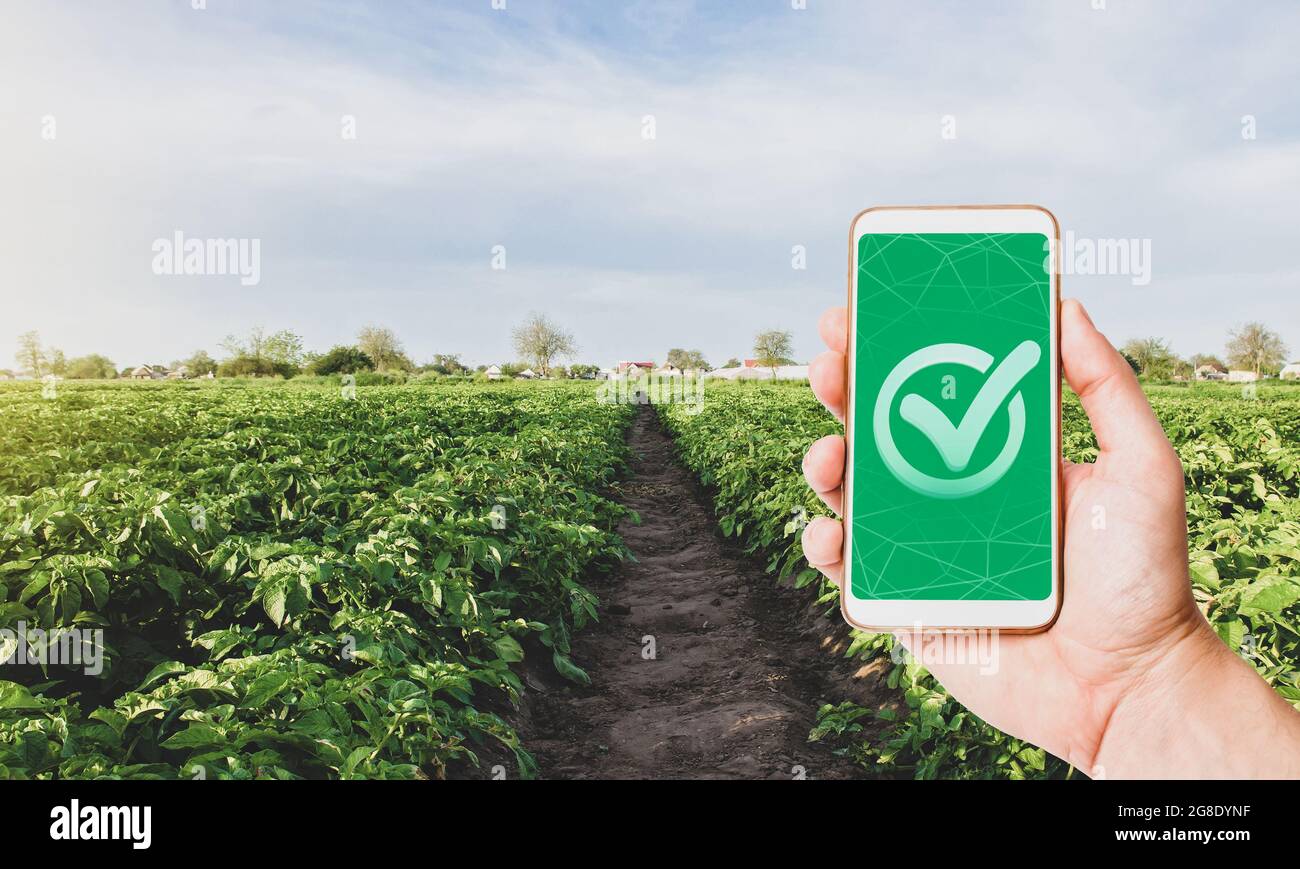 Telefono con un marchio di qualità su una piantagione di fattoria. Coltivando ortaggi organici. Controllare le dosi consentite di sostanze chimiche nocive. Certificazione di agricolo Foto Stock