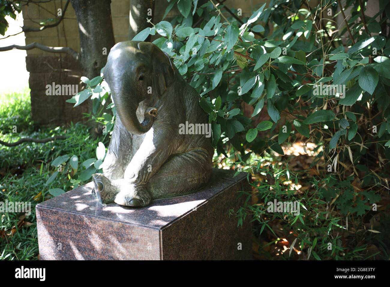 TULSA, STATI UNITI - 25 giu 2021: Una statua di un elefante allo Zoo di Tulsa, Tulsa, OK Foto Stock
