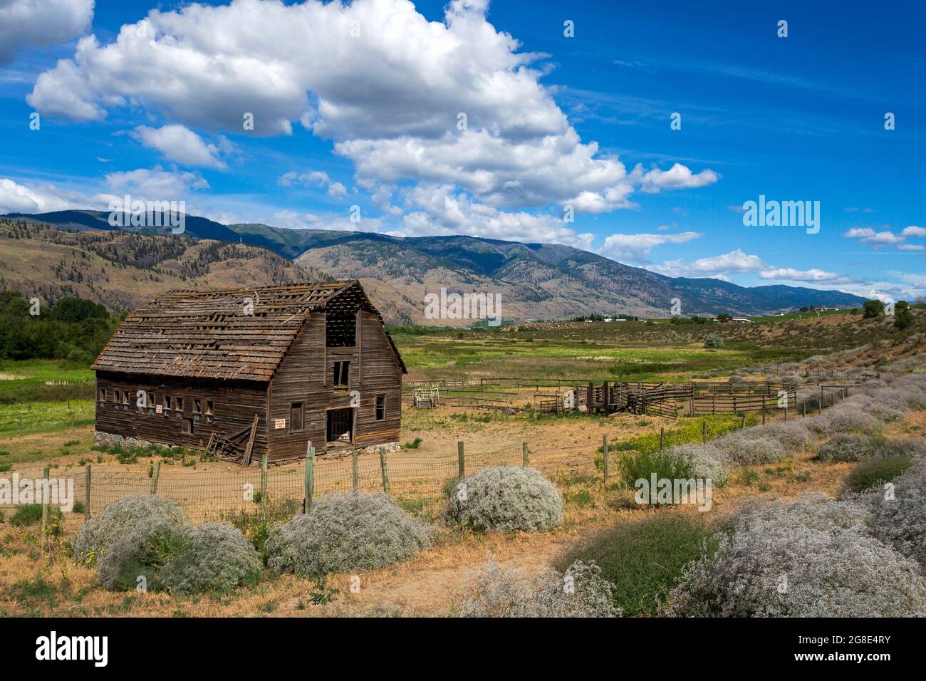 Storico Haynes Ranch Farmhouse situato a Osoyoos nella Okanagan Valley, British Columbia, Canada. Foto Stock