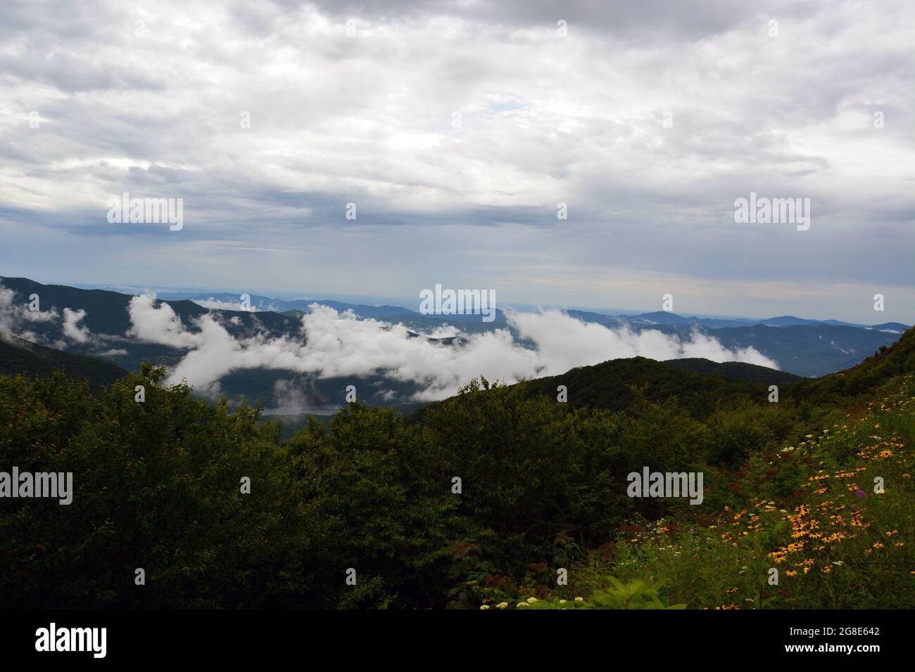 Nuvole basse appendono nelle valli in una giornata piovosa sulla Blue Ridge Parkway al di fuori di Asheville, North Carolina. Foto Stock