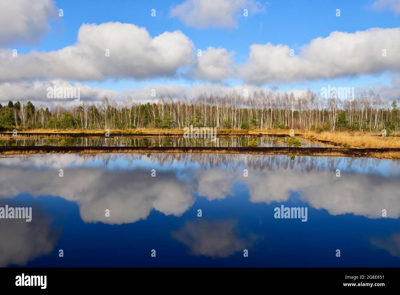 Riflessione nuvola in laghetto di mor, Grundbeckenmoor Raubling, Baviera, Germania Foto Stock