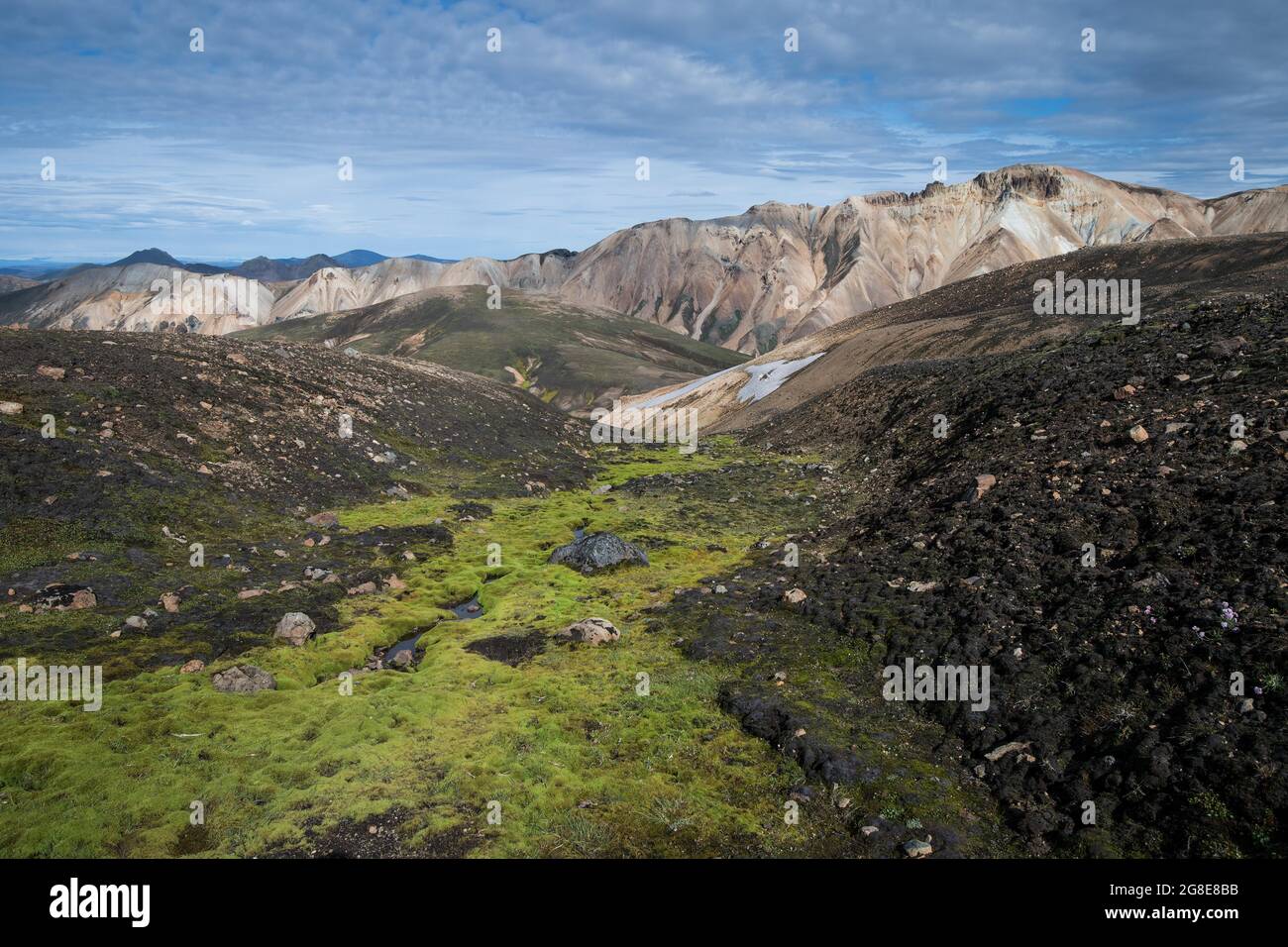 Muschio acquatico verde (Fontinalis antipyretica), montagne di riolite, Landmannalaugar, Fjallabak, altopiani islandesi, Islanda Foto Stock