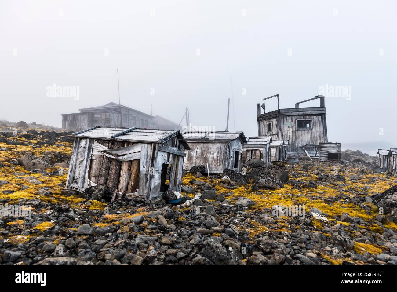 Scatole di Husky polari nella storica stazione meteorologica Sedov nella baia di Tikhaya sull'isola di Hooker, l'arcipelago di Franz Josef Land, Russia Foto Stock