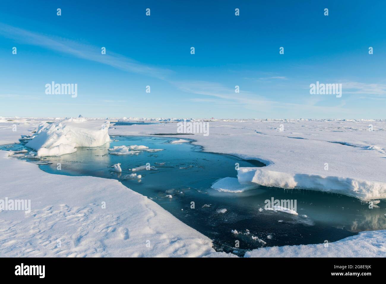 Sole sul ghiaccio del Polo Nord, Artico Foto Stock