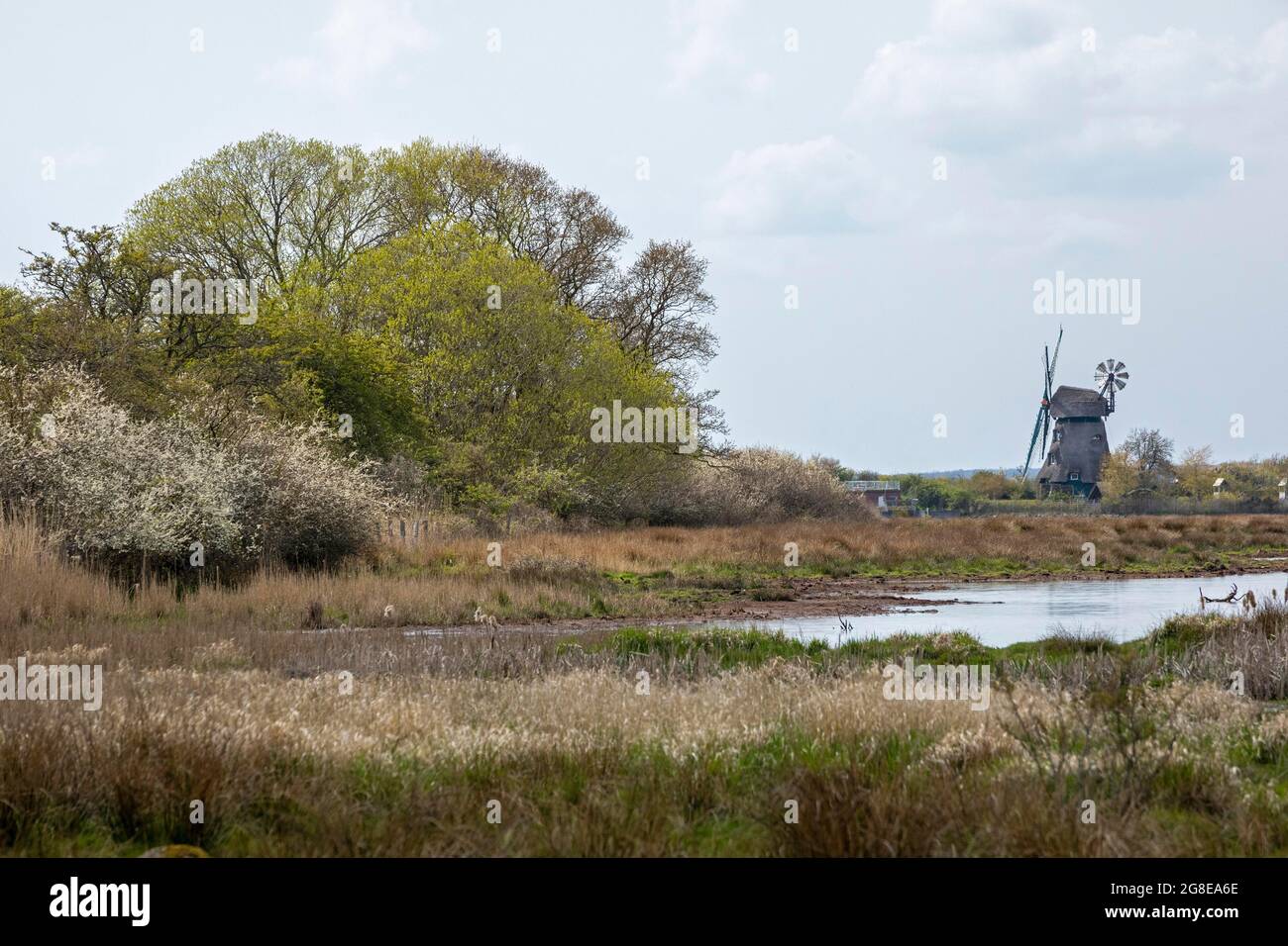 Mulino Charlotte, Basrotter Noor, riserva naturale Geltinger Birk, Geltinger bight, Schleswig-Holstein, Germania Foto Stock