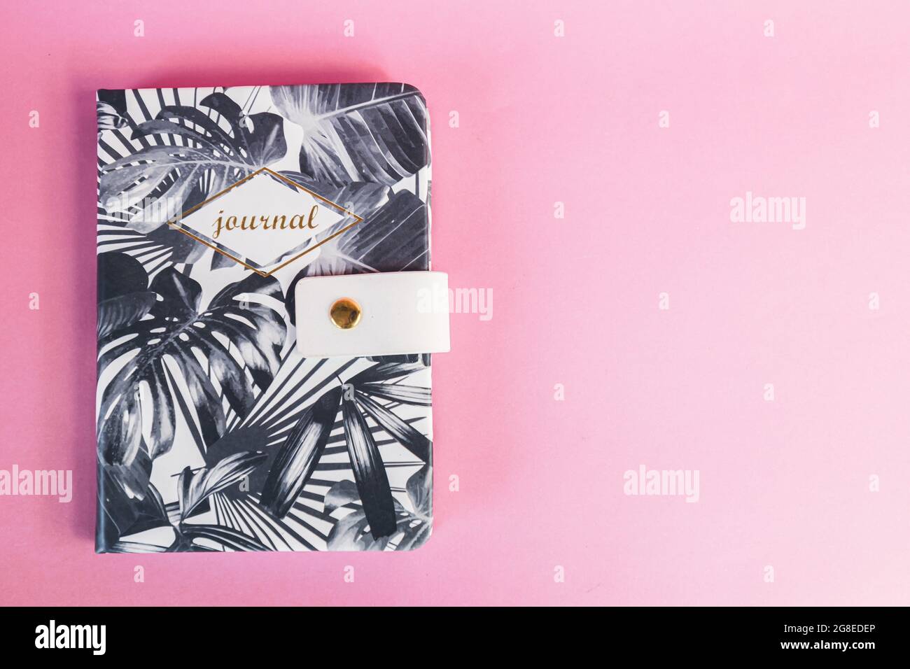 Un quaderno pianta su sfondo rosa. Journaling. Produttività e studio del concetto. Scrittura a mano. Spazio di copia Foto Stock