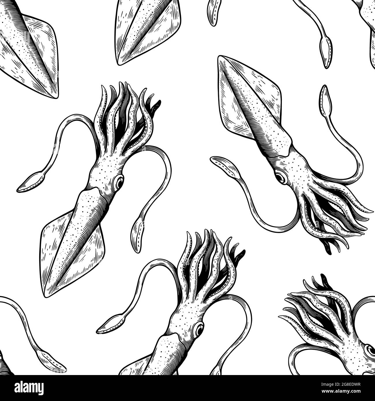 Modello senza cuciture con molluschi calamari. Illustrazione in stile linea d'arte vintage. Illustrazione Vettoriale
