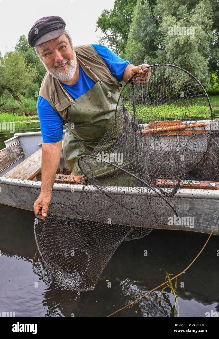 PRODUZIONE - 08 Luglio 2021, Brandenburg, Brieskow-Finkenheerd: Peter Schneider, maestro pescatore, prende una trappola di pesce dalle acque del lago Brieskow. I deficit di precipitazioni degli ultimi anni hanno causato la caduta dei livelli d'acqua in numerosi laghi e fiumi del Mark Brandenburg. "Non si tratta di una minaccia immediata per la fauna ittica locale, finché il corpo idrico non si è effettivamente prosciugato", ha affermato Dettmann, direttore esecutivo dell'associazione di pesca dello Stato del Brandeburgo. Con il tempo che si alterna tra calore e siccità e poi piogge localmente pesanti, almeno le cose stanno lavorando per la Th Foto Stock