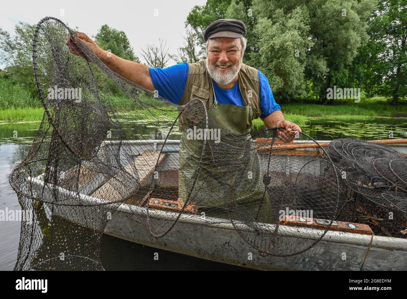 PRODUZIONE - 08 Luglio 2021, Brandenburg, Brieskow-Finkenheerd: Peter Schneider, maestro pescatore, prende una trappola di pesce dalle acque del lago Brieskow. I deficit di precipitazioni degli ultimi anni hanno causato la caduta dei livelli d'acqua in numerosi laghi e fiumi del Mark Brandenburg. "Non si tratta di una minaccia immediata per la fauna ittica locale, finché il corpo idrico non si è effettivamente prosciugato", ha affermato Dettmann, direttore esecutivo dell'associazione di pesca dello Stato del Brandeburgo. Con il tempo che si alterna tra calore e siccità e poi piogge localmente pesanti, almeno le cose stanno lavorando per la Th Foto Stock