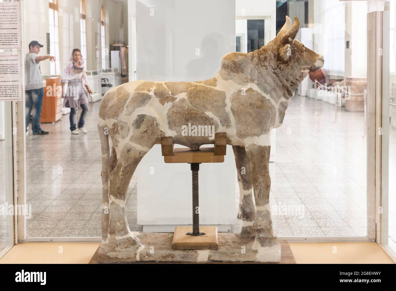Statua toro con iscrizione elamita, scavata a Chogha Zanbil, Museo Nazionale dell'Iran, Teheran, Iran, Persia, Asia occidentale, Asia Foto Stock