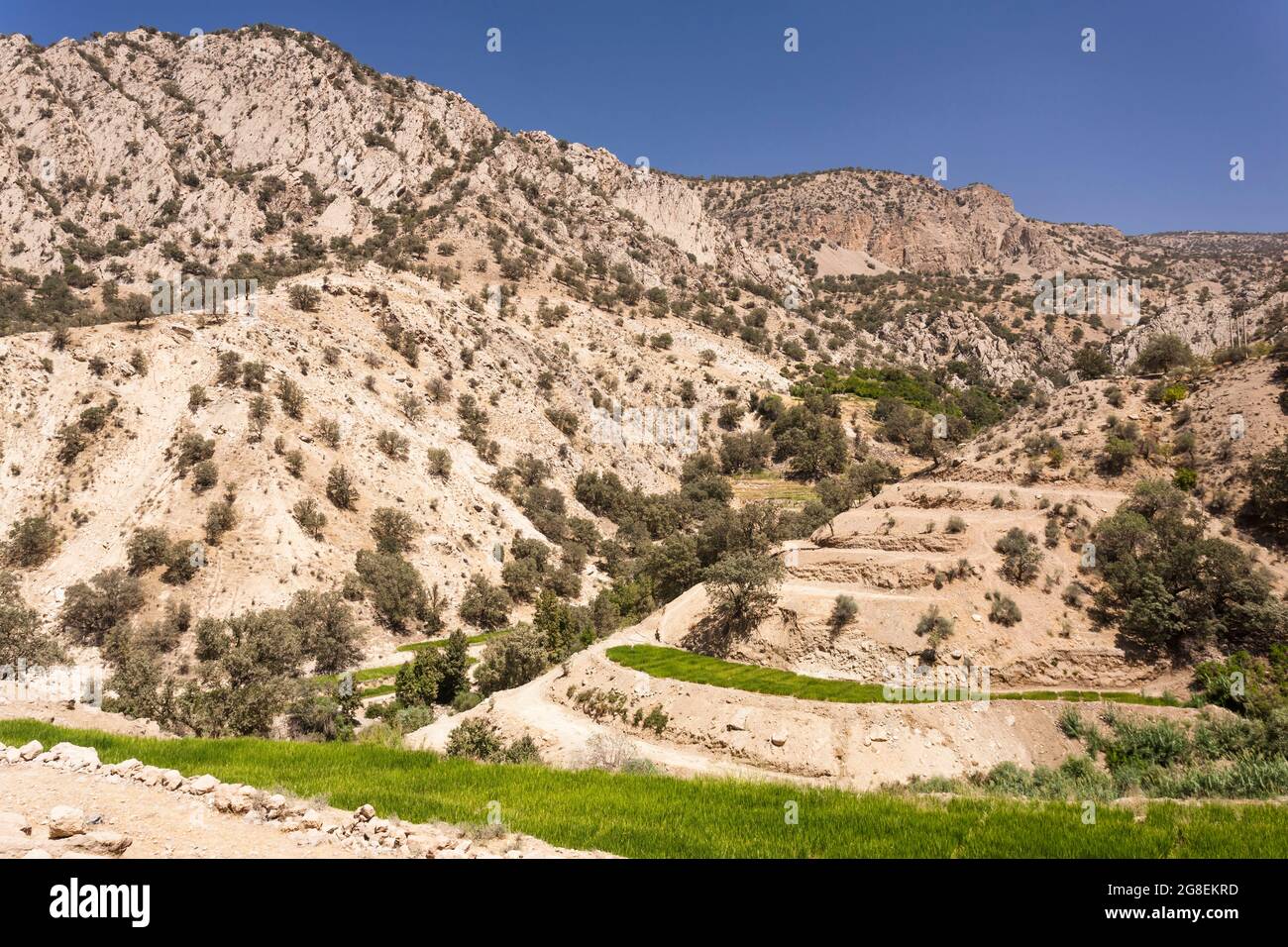 Campi di riso terrazzati nel ramo superiore della valle di Fahliyan, montagne di Zagros, Gach Darvazeh, provincia di Fars, Iran, Persia, Asia occidentale, Asia Foto Stock