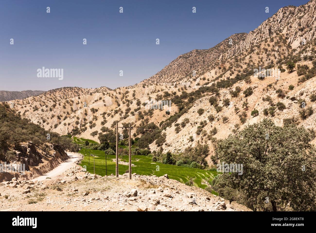 Campi di riso terrazzati nel ramo superiore della valle di Fahliyan, montagne di Zagros, Gach Darvazeh, provincia di Fars, Iran, Persia, Asia occidentale, Asia Foto Stock