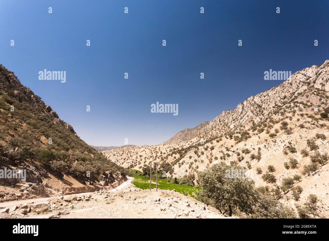 Campi di riso terrazzati nel ramo superiore della valle di Fahliyan, montagne di Zagros, Gach Darvazeh, provincia di Fars, Iran, Persia, Asia occidentale, Asia Foto Stock