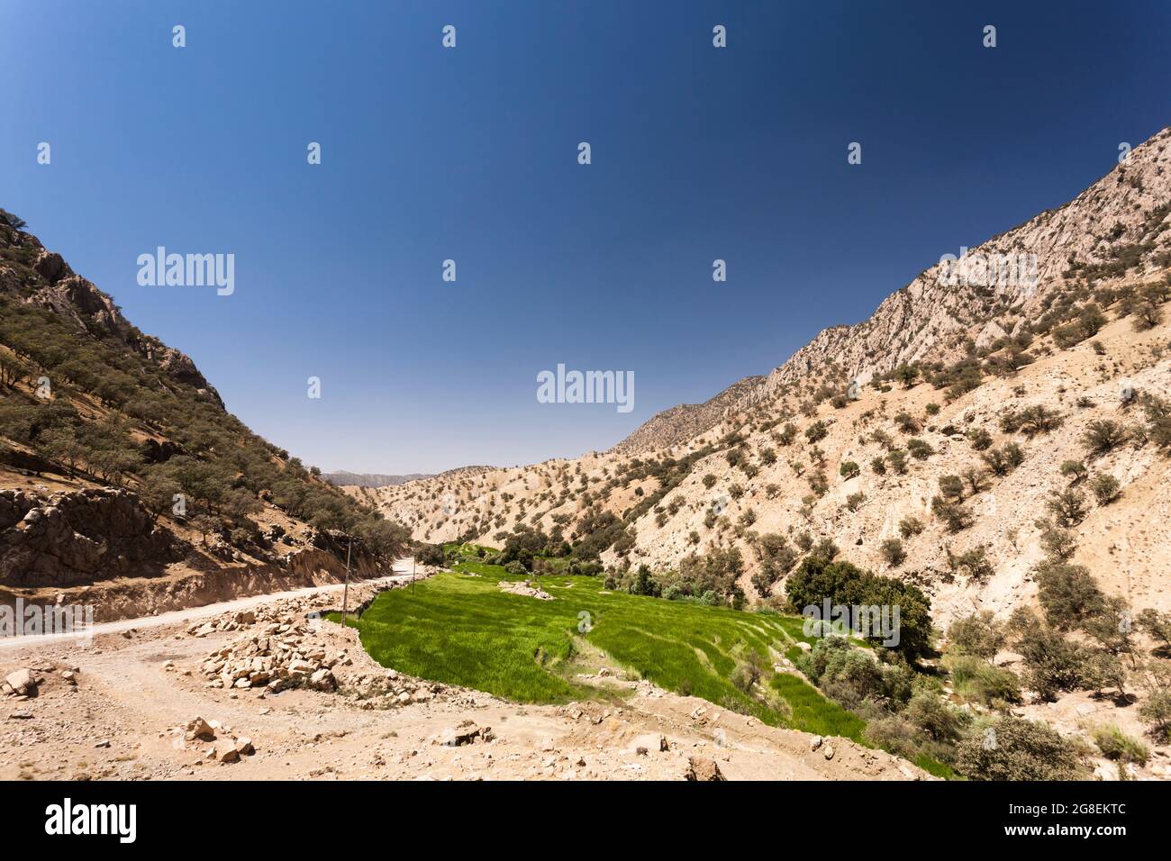 Campi di riso terrazzati nel ramo superiore della valle di Fahliyan, montagne di Zagros, Gach Darvazeh, provincia di Fars, Iran, Persia, Asia occidentale, Asia Foto Stock