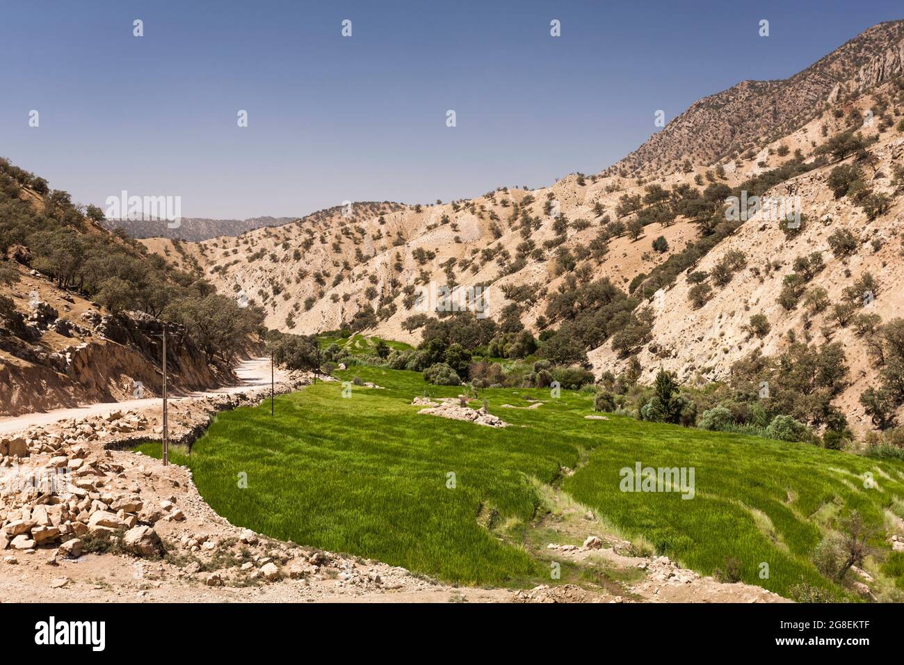 Campi di riso terrazzati nel ramo superiore della valle di Fahliyan, montagne di Zagros, Gach Darvazeh, provincia di Fars, Iran, Persia, Asia occidentale, Asia Foto Stock