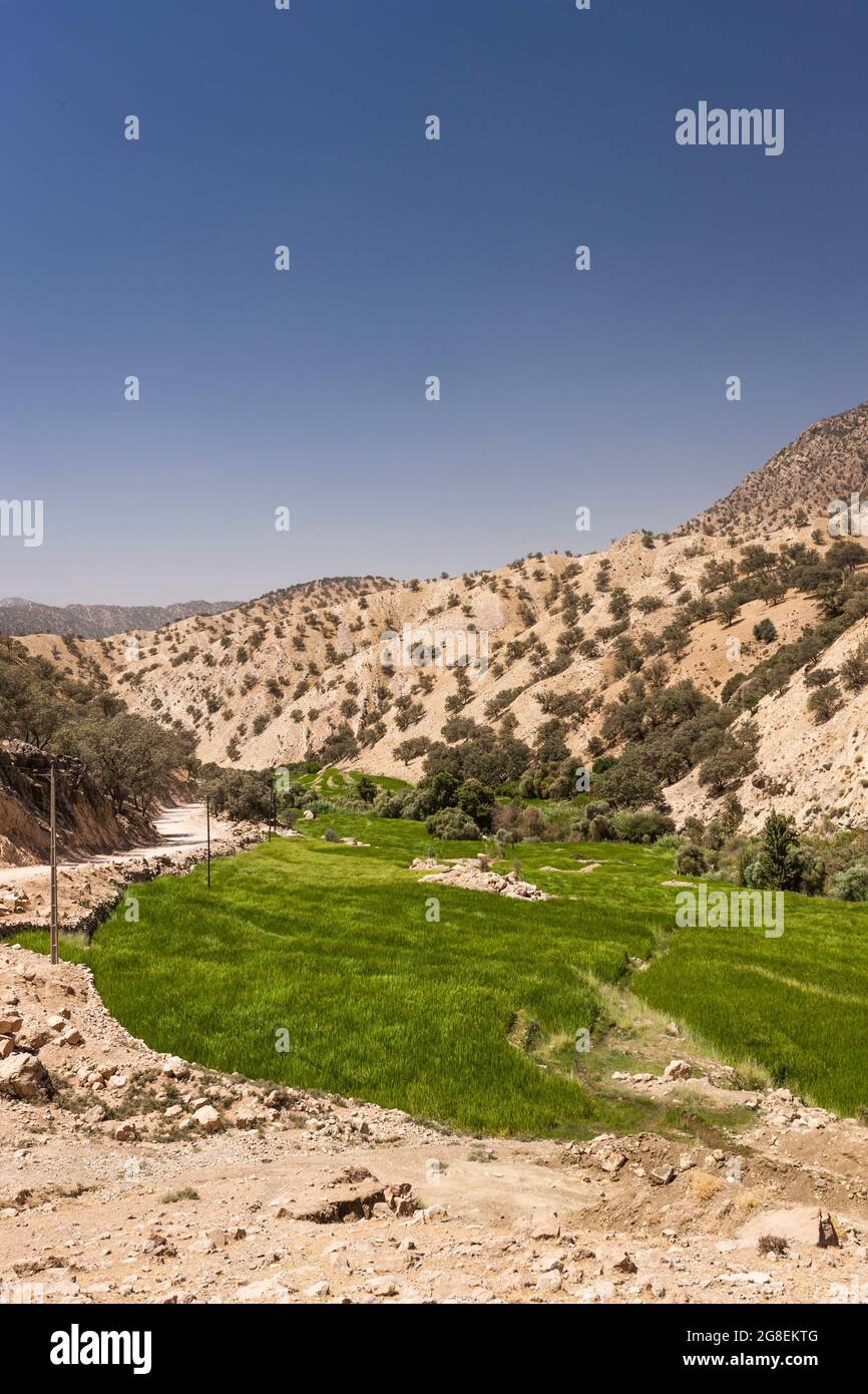 Campi di riso terrazzati nel ramo superiore della valle di Fahliyan, montagne di Zagros, Gach Darvazeh, provincia di Fars, Iran, Persia, Asia occidentale, Asia Foto Stock