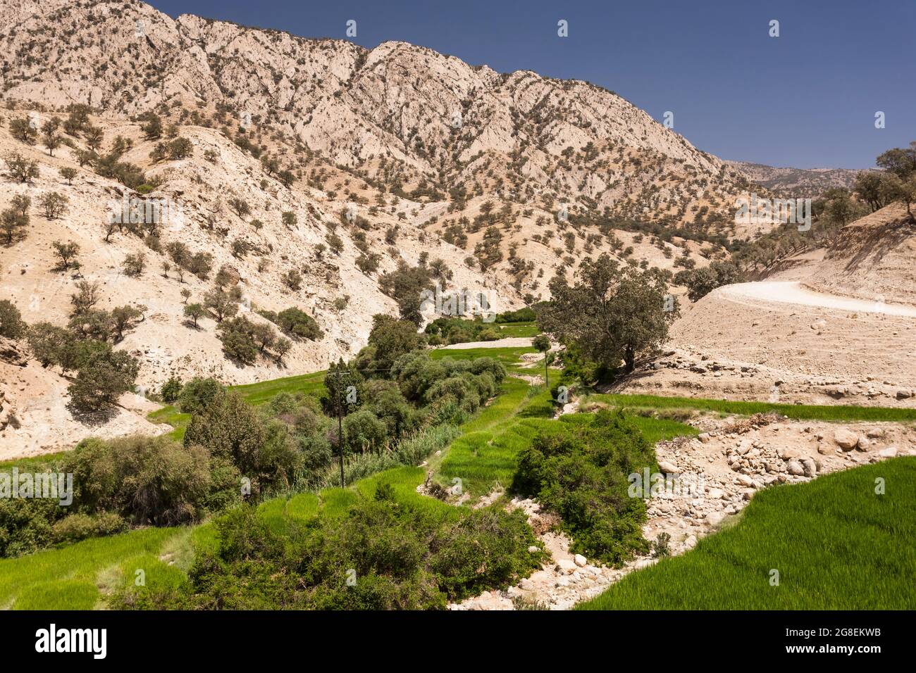 Campi di riso terrazzati nel ramo superiore della valle di Fahliyan, montagne di Zagros, Gach Darvazeh, provincia di Fars, Iran, Persia, Asia occidentale, Asia Foto Stock