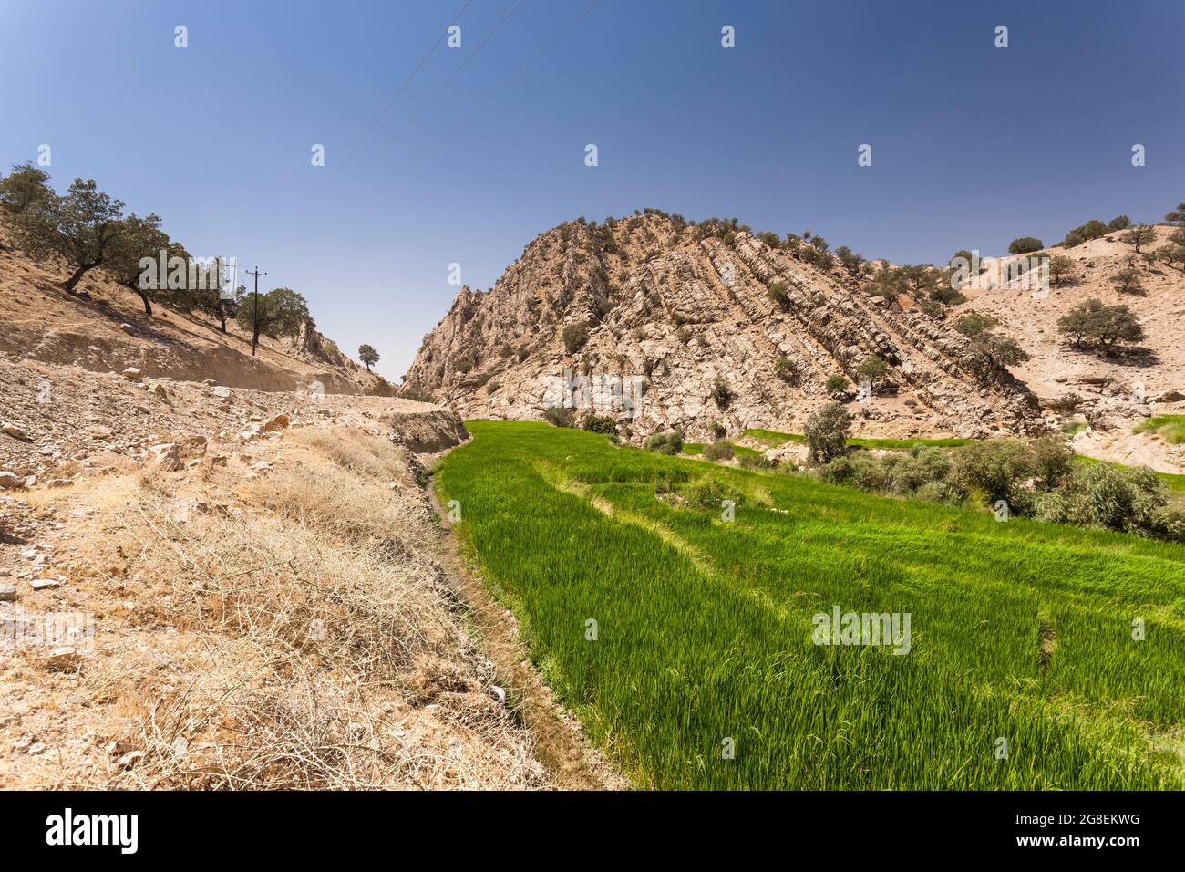 Campi di riso terrazzati nel ramo superiore della valle di Fahliyan, montagne di Zagros, Gach Darvazeh, provincia di Fars, Iran, Persia, Asia occidentale, Asia Foto Stock