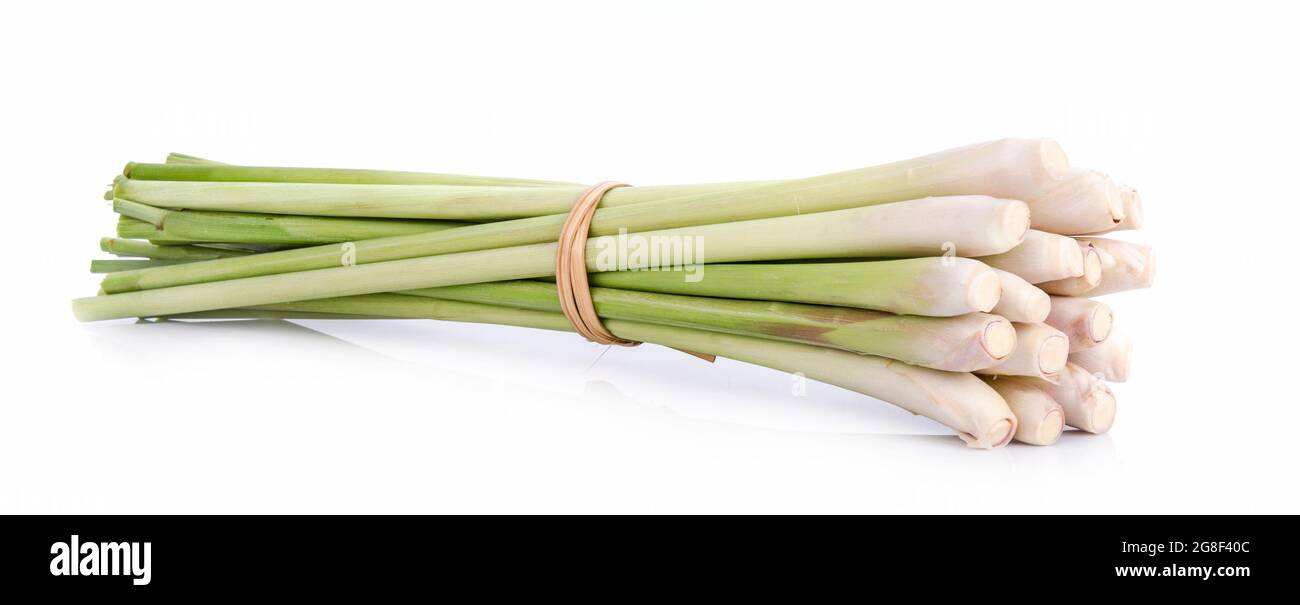 La citronella isolati su sfondo bianco Foto Stock