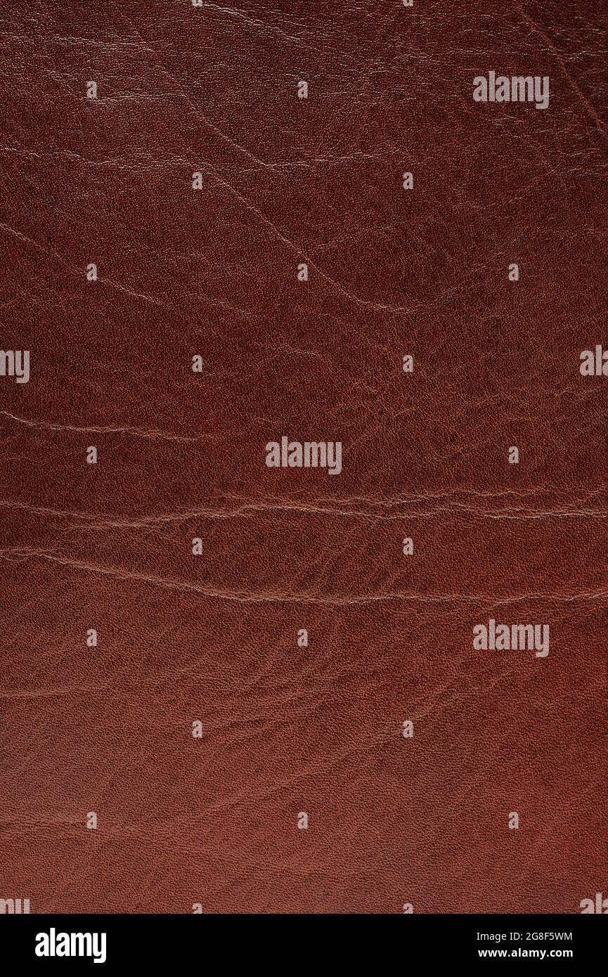 Vista ravvicinata della superficie in pelle marrone crampionata Foto Stock